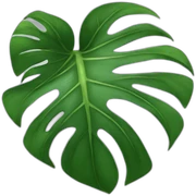 monstera sticker