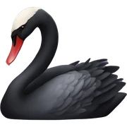 Black swan sticker