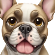 French bulldog merle sticker