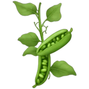 living green bean sticker