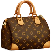 louis vuitton bag sticker
