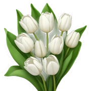white tulip bouquet  sticker