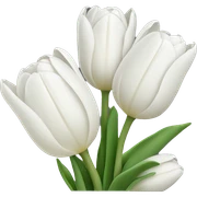 white tulips sticker