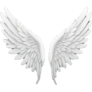 Angel wings  sticker
