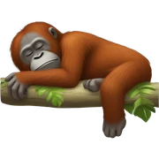 Orangutan sleeping sticker