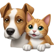 Dog and cat  sticker
