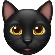 Black cat  sticker