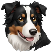 tricolor border collie sticker