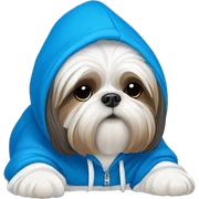 Shih Tzu wearing blue hoodie￼ sticker