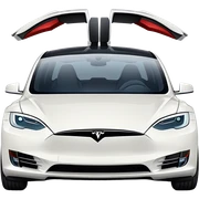 Tesla sticker