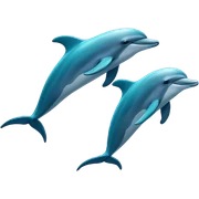 Two dolphins sticker