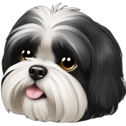 all black shih tzu sticker