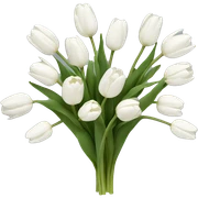 White tulips  sticker