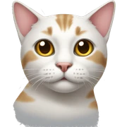 Cat sticker