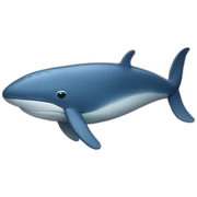 Blue whale sticker
