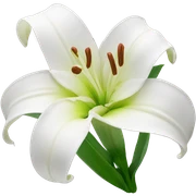 lilly flower sticker