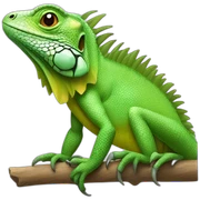 iguana sticker