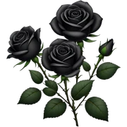 Black roses sticker