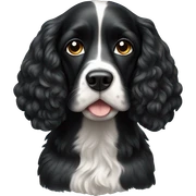 Black cocker spaniel sticker