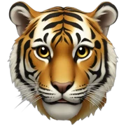 tigre de bengala sticker