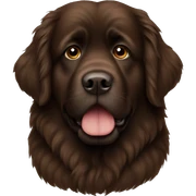 newfoundland canada brown sticker