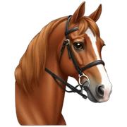 Chestnut Dressage horse  sticker
