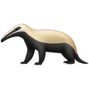 Anteater  sticker