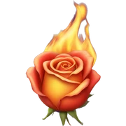 Rose on fire sticker