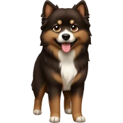 finnish-lapphund-dark-brown-brown sticker