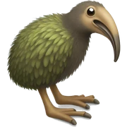 kiwi bird sticker