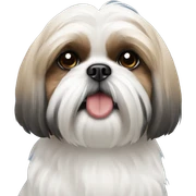 Shih tzu  sticker