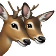 two deers kissing sticker