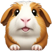 Guinea pig sticker