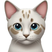 CAT with Heart eyes sticker