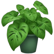 pothos sticker
