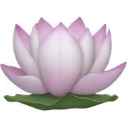 Lotus bisscof sticker