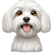 Maltese dogs sticker