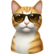 Cat with sunglasses sticker