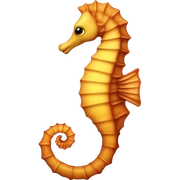 seahorse sticker