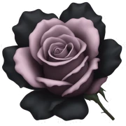 Black rose sticker