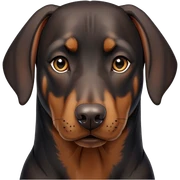 doberman sticker