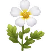 Ursinia flower sticker