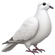 Dove sticker