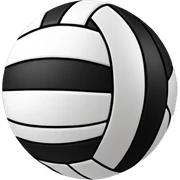 Volleyball sticker