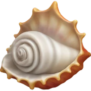 conch shell sticker