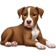 Brown Pitbull puppy laying  sticker