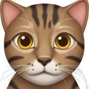 brown tabby cat sticker