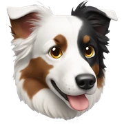 tricolor border collie sticker