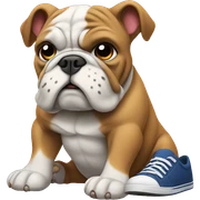 bulldog with shoes on  sticker