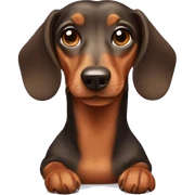 dachshund  sticker